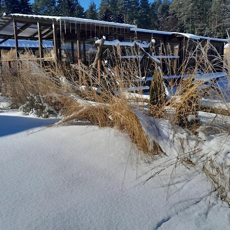 Siedlisko Pod Debem Otel Wilimy Dış mekan fotoğraf