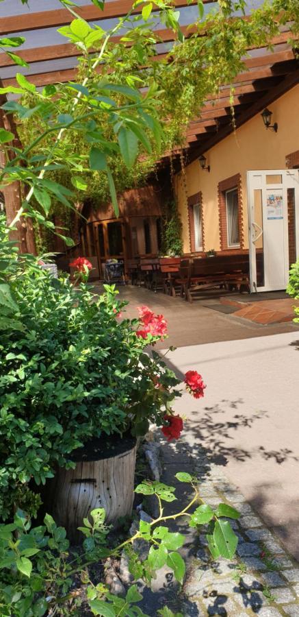 Siedlisko Pod Debem Otel Wilimy Dış mekan fotoğraf