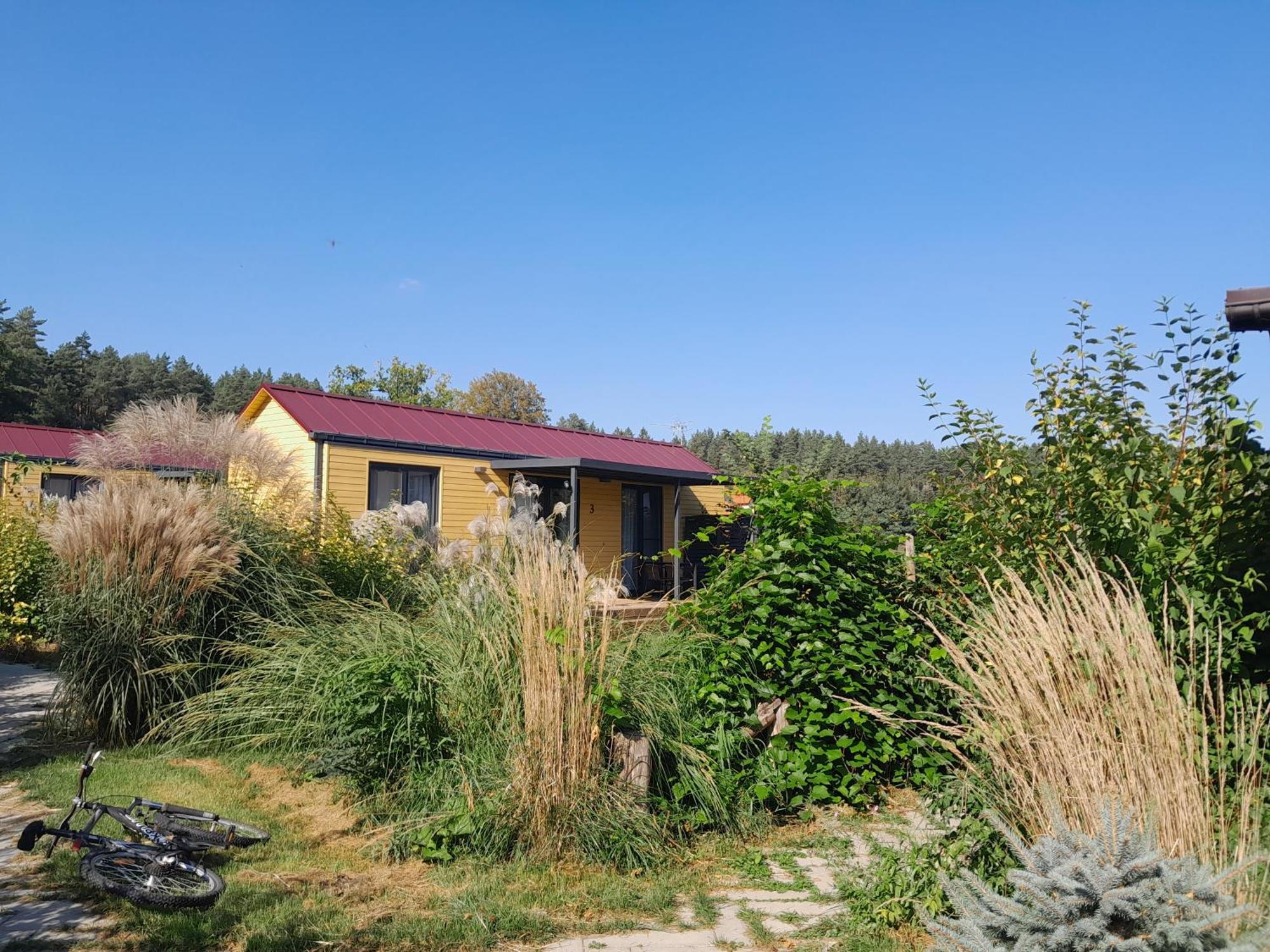 Siedlisko Pod Debem Otel Wilimy Dış mekan fotoğraf
