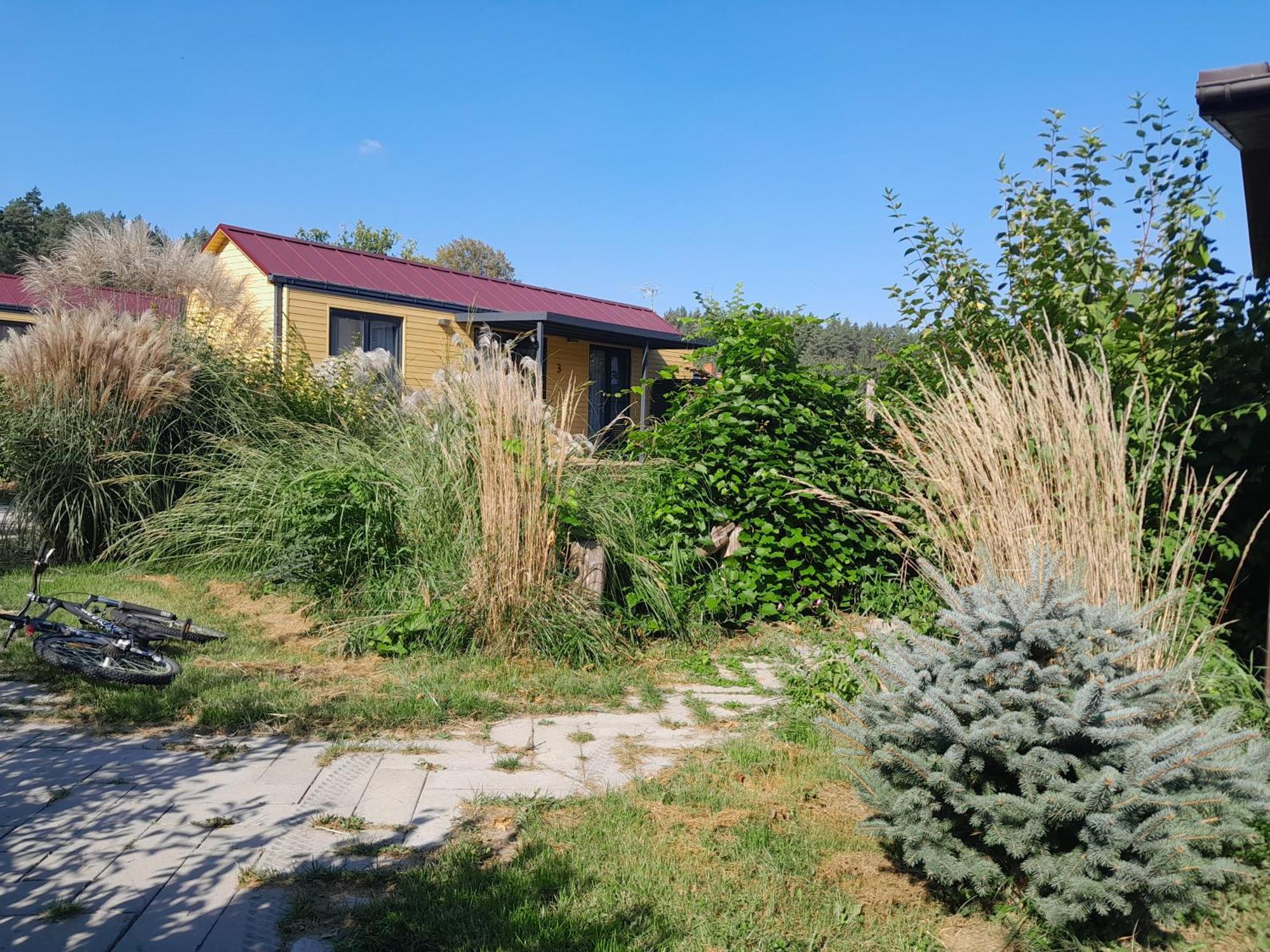 Siedlisko Pod Debem Otel Wilimy Dış mekan fotoğraf