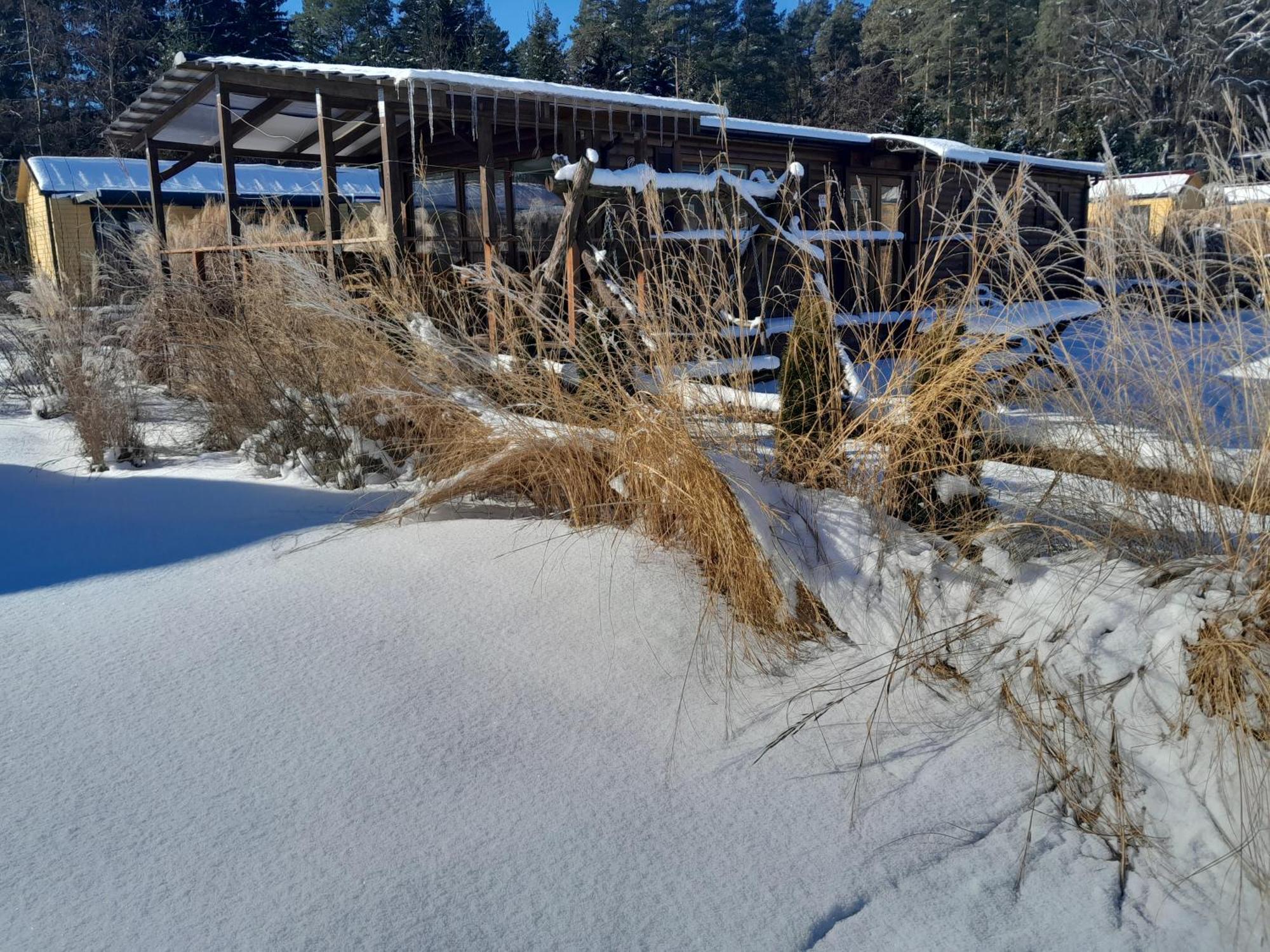 Siedlisko Pod Debem Otel Wilimy Dış mekan fotoğraf
